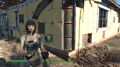 fallout nsfw|r/Fallout4ModsNSFW